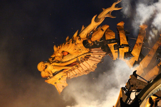 Become a Dragon Master!