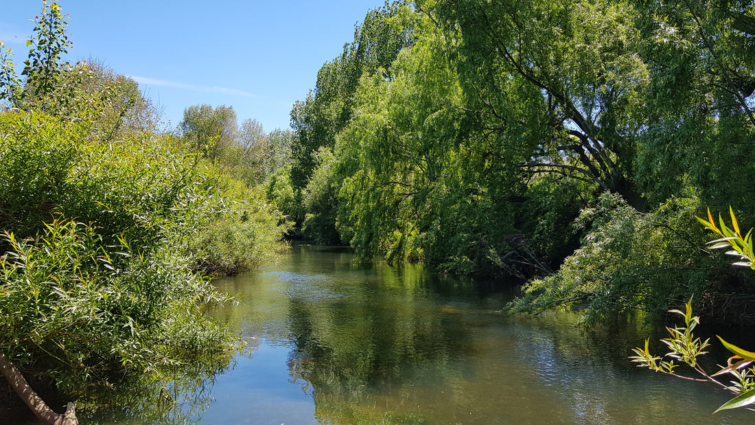 A clear river meanders through lush green trees with a stunning blue sky